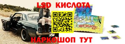амф Гусев