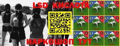 амф Гусев
