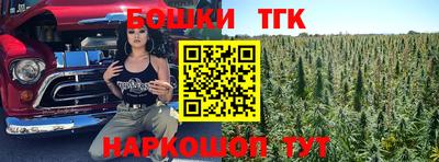 амф Гусев