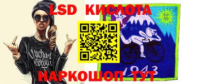 амф Гусев