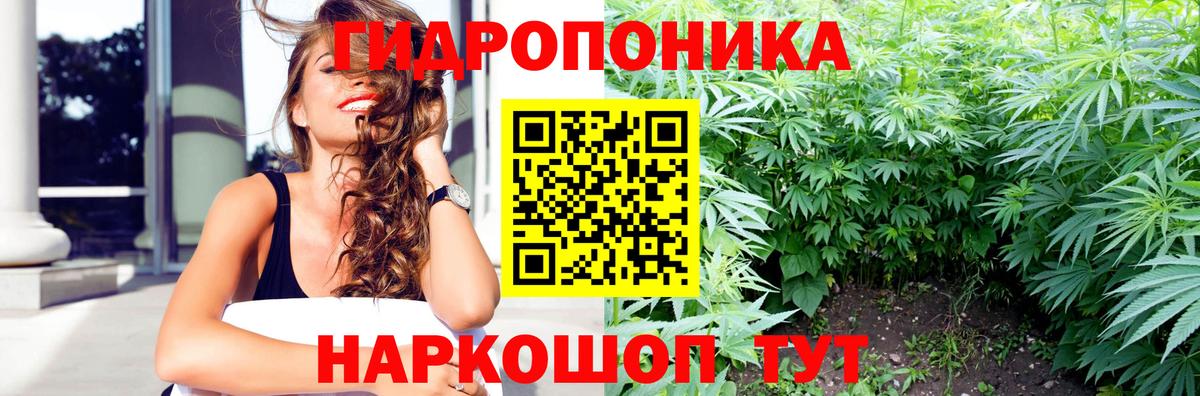 Конопля LSD WEED Надым